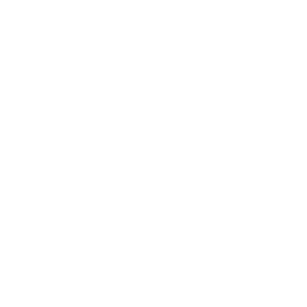 International Friendships, Inc.